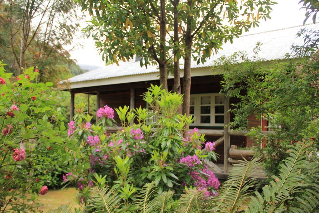Posada Queulat Puerto Puyuguapi Phòng bức ảnh